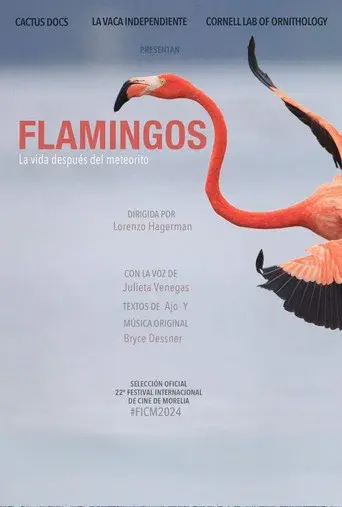 Flamingos: La vida después del meteorito poster