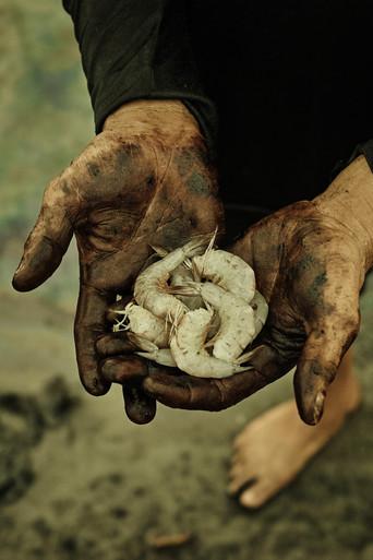 Petroleo poster