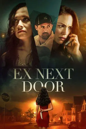 La ex en la puerta de al lado poster