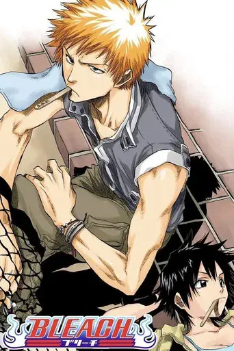 Bleach - Poster