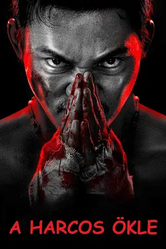 Venganza implacable - Poster