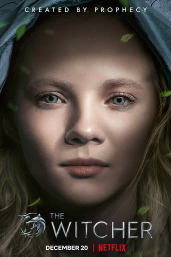 The Witcher - Poster