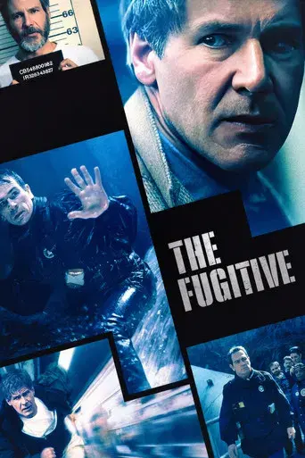 El fugitivo - Poster