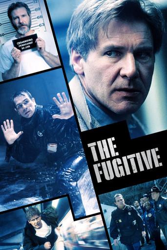El fugitivo - Poster