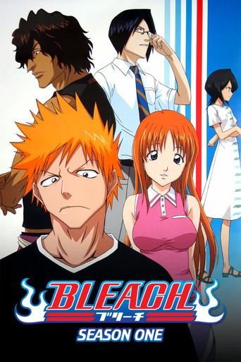 Bleach - Poster