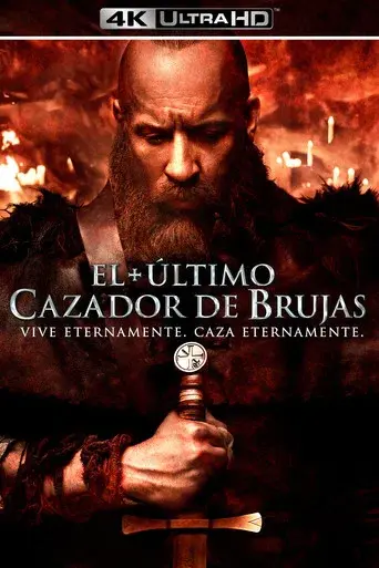 El último cazador de brujas poster