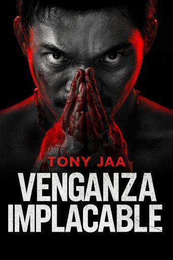 Venganza implacable - Poster
