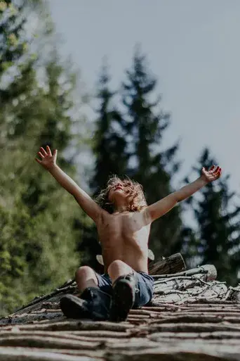 Ukjent landskap - Poster