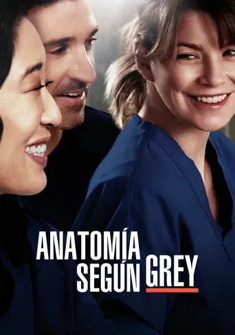 Anatomía de Grey - Poster