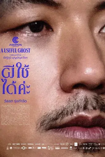 Un fantasma útil - Poster
