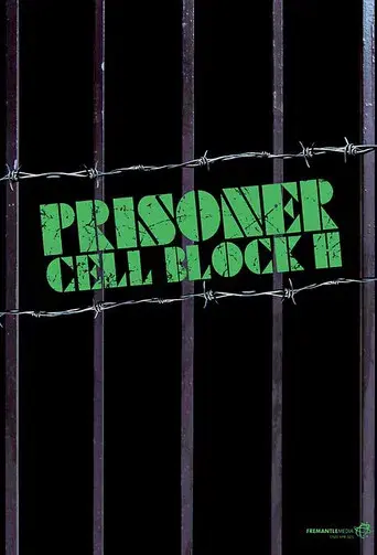 Prisoner - Poster