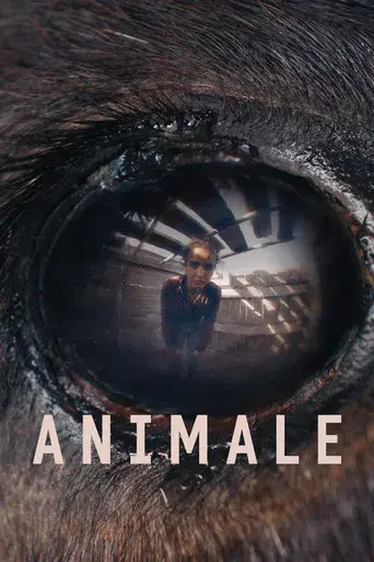 Animale - Poster