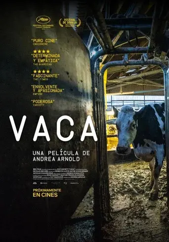 Vaca - Poster