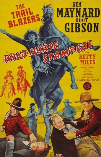 Wild Horse Stampede - Poster