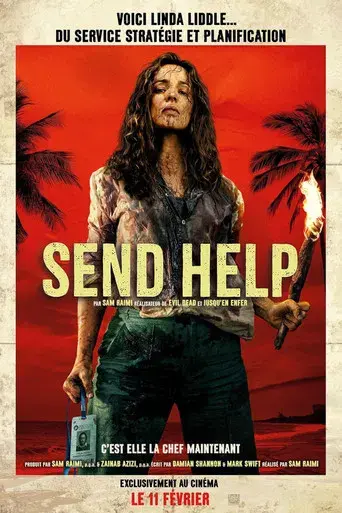 SEND HELP (Enviad ayuda) - Poster
