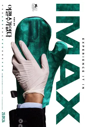 No hay otra opción - Poster