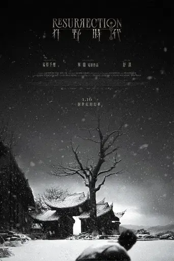 狂野时代 - Poster