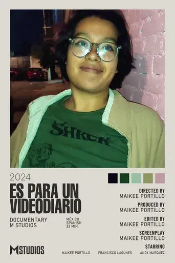 Es Para Un Videodiario - Poster