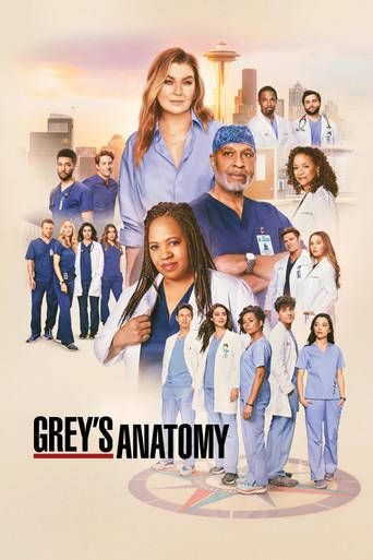 Anatomía de Grey - Poster