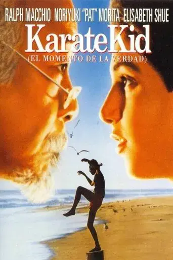 Karate Kid, el momento de la verdad - Poster