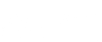 Wild Boys: Strangers in Town - Logo