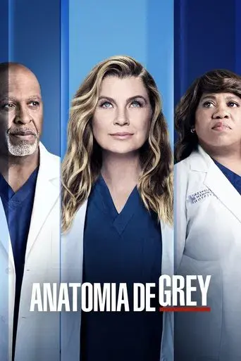 Anatomía de Grey - Poster