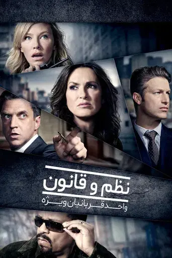 Ley y orden: Unidad de Víctimas Especiales - Poster