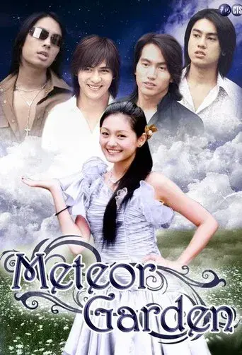 流星花園 poster