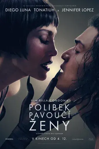 El beso de la mujer araña - Poster