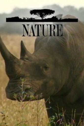 Nature - Poster