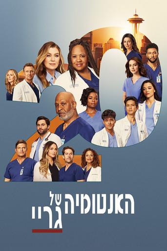 Anatomía de Grey - Poster