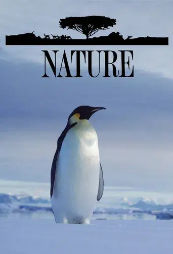 Nature - Poster