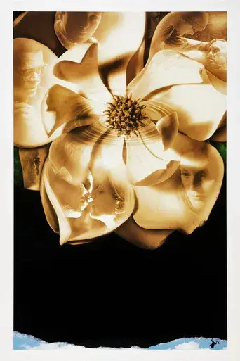 Magnolia - Poster