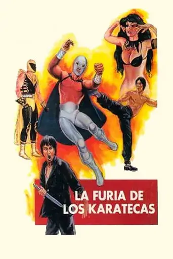 La furia de los karatecas poster
