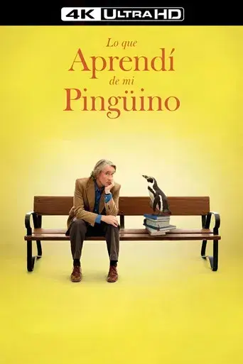 Lo que aprendí de mi pingüino - Poster