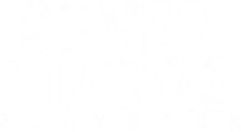 El lado bueno de las cosas - Logo