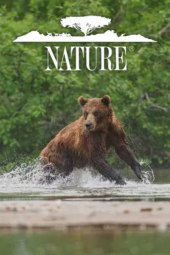 Nature - Poster