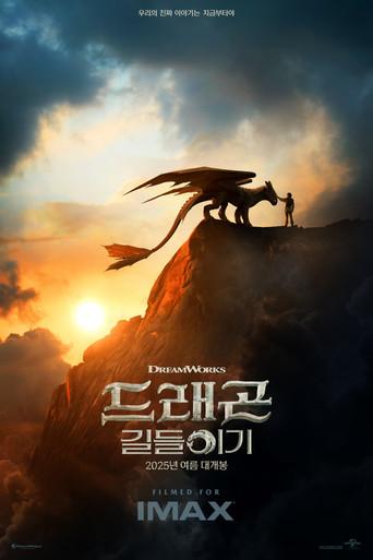 Cómo entrenar a tu dragón - Poster