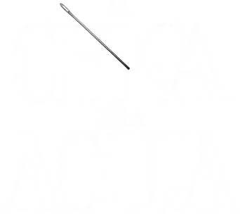 La chica de la aguja - Logo