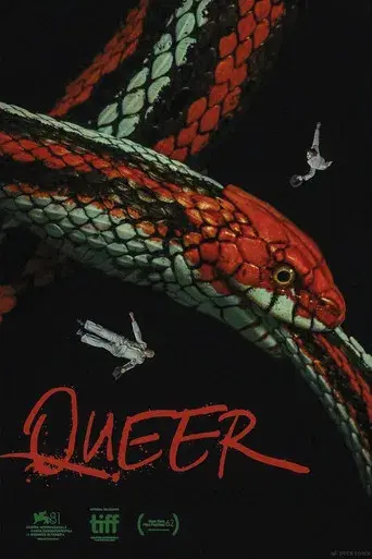 Queer - Poster
