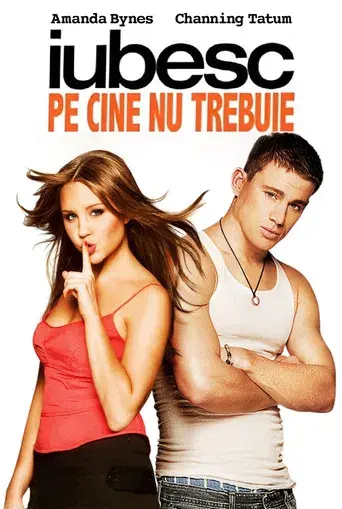 Ella es el chico - Poster