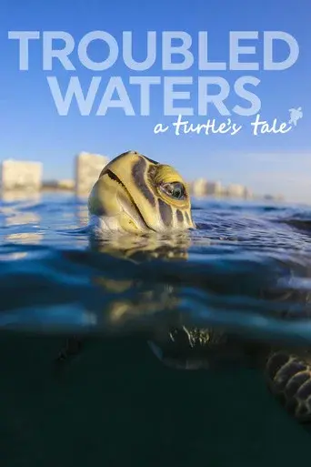 Troubled Waters: A Turtle's Tale - Poster