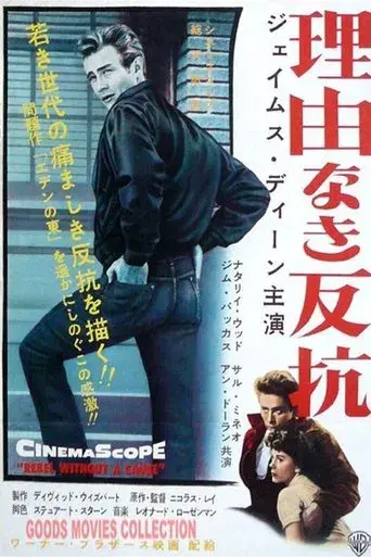 Rebelde sin causa - Poster