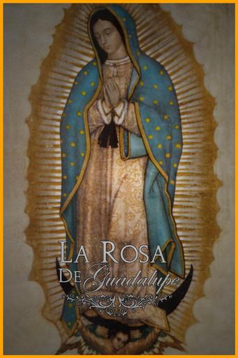 La rosa de Guadalupe - Poster