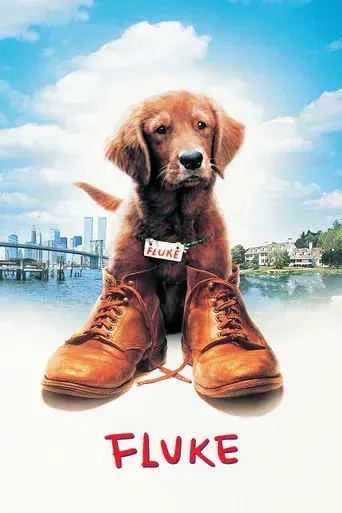 Mi amigo Fluke poster