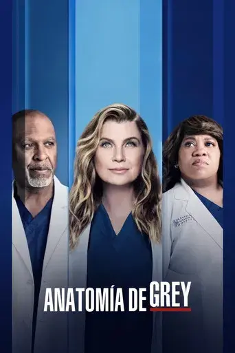 Anatomía de Grey - Poster