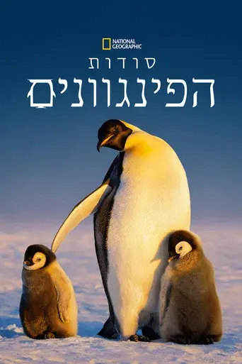 Los secretos de los pingüinos - Poster