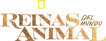 Reinas del mundo salvaje - Logo