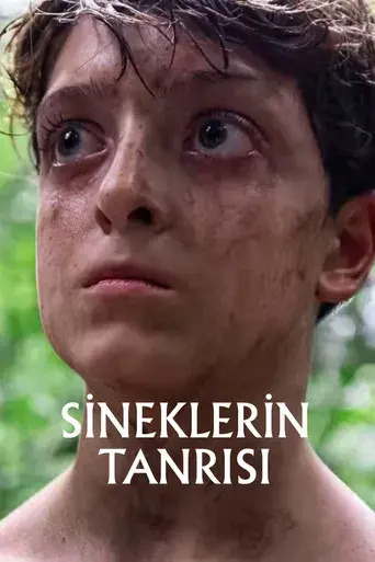 El señor de las moscas - Poster