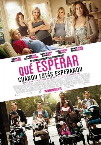 Qué esperar cuando estás esperando - Poster